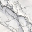 © Asikurrahaman - Detailed white marble texture with intricate gray veining and natural patterns