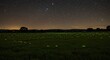 © Quiet - Enchanting summer night landscape with a field full of glowing fireflies under a brilliant starry sky