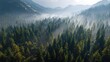 © Myko - Misty mountain valley, dense forest canopy