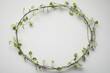© MrHamster - A circular frame of small, delicate green leaves and stems creates a peaceful and natural border against a plain white background.