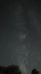 Wall Mural - milkyway,telescope,constellation,exposure,trails,night,glow,universe,radiant,space,astronomy,galaxy,star,dark,photography,cosmos,light,celestial,shine,sky