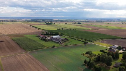 Wall Mural - rural farm with fields. farming in the village in the czech republic. making a living. beautiful day