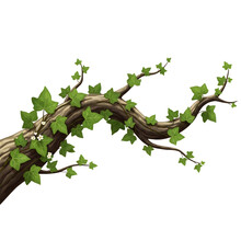Baum mit Efeu bewachsen Kostenloses Stock Bild - Public Domain Pictures