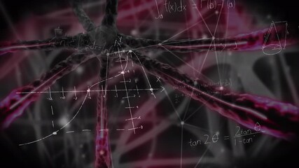 Wall Mural - animation of mathematical equations over neurons on black background