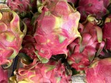 Close up showcases vibrant pile of dragon fruit with spiky outer texture
