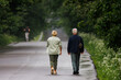 © AlexKriv - Elderly couple enjoys a leisurely stroll down a quiet, tree-lined pathway in the early morning light