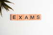 © Luqman Aditiamala - Wooden tiles with the letters 'Exams' on a white background. The word 'Exams' is written on a wooden piece or wooden cube.