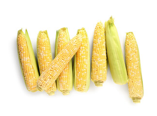 Wall Mural - fresh corn cobs on white background