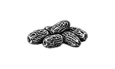 Wall Mural - detailed black and white drawing of pile of dried dates. vector retro hand drawn illustration