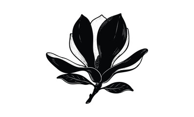Wall Mural - black and white magnolia flower with leaves illustration. vector retro hand drawn illustration