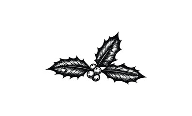 Wall Mural - vintage holly leaves and berries drawing. vector retro hand drawn illustration