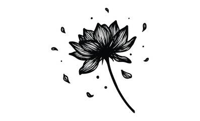 Wall Mural - hand-drawn lotus flower with falling petals in monochrome. vector retro hand drawn illustration