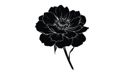 Wall Mural - black silhouette of a blooming flower. vector retro hand drawn illustration