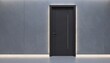 © Raka - Modern interior design featuring a dark gray door