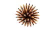 © RUMA - Top view of a colorful assortment of sharpened wooden pencils fanned out colored pencils