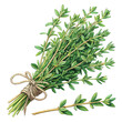 © SAIF STUDIO - A bundle of fresh thyme tied with twine against a black background on transparent background