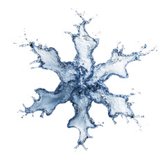 Wall Mural - Ephemeral water crystallization an intricate frozen moment captured for decorative appeal and