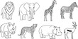 © Malik - Collection of iconic African safari animals illustrated in a clean, simple line art style