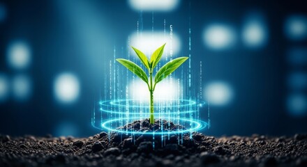 Digital Growth Concept with Sapling, Soil, and Binary Code, Technology Innovation and Sustainable Development