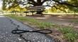 © Kamal - Photo of a black hair tie lies on a cracked asphalt path next to green grass, with a wooden park bench and large tree in the blurred background on a sunny day