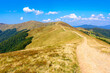 © Pellinni - mountain dirt road through grassy alpine meadow. wonderful outdoor adventure in autumn afternoon light. hiking through krasna ridge of transcarpathia, ukraine. clouds on the blue sky