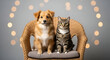 © Ka Ab - A heartwarming portrait of canine and feline companionship sitting together on a wicker chair