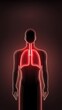 © Premium Resource - Human lungs anatomy glowing in red color on dark background for medical use
