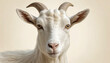 © freepik - Close-up portrait of a white goat showcasing horns and detailed features