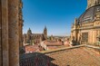 Salamanca Cathedral and Rooftops