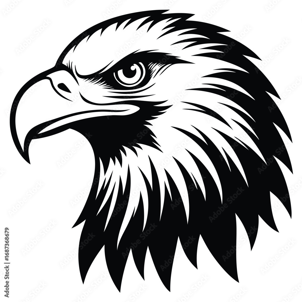 Bald Eagle Flying Soon Eagle Detailed black-and-white line art of a ...