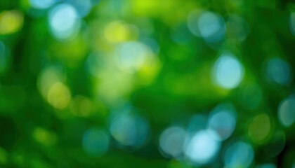 Wall Mural - soft green forest bokeh with bright light spots natural blurred foliage background for tranquil designs or nature themed projects