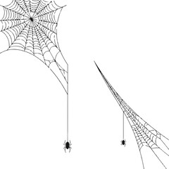 Spider web with spiders isolated on white background