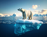 Polar bear standing on melting ice floe in arctic waters