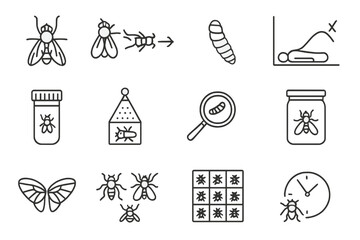 Forensic Entomology Icons. Line style icons of forensic entomology: blowfly icon, insect timeline, maggot life stage, body