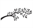 © MDToufik - Tree branch silhouette vector illustration with leaves, natural decorative element for eco design, botanical artwork, garden theme, seasonal nature concept, or abstract foliage graphic isolated on whi