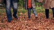 © Victoriia - Cheerful family playing in park with autumn leaves walk nature with child. Legs, Family child mother father walking in autumn park kicking yellow dry leaves with their feet. Family on rest in nature