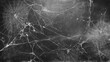 © Charlie - Black white spiderwebs on textured old blackboard, eerie nostalgic Halloween backgrounds, abstract art projects, digital design templates, chalk smudges
