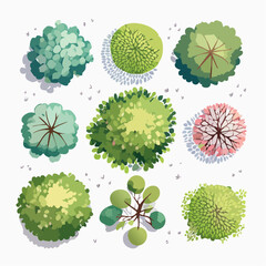 set of watercolor tree top view for landscape and architecture layout