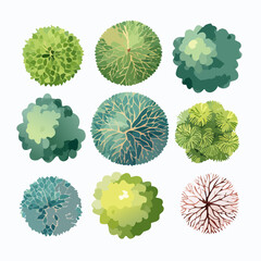set of watercolor tree top view for landscape and architecture layout