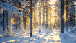 © Helal Designs - Snow-covered pine forest in golden morning light.