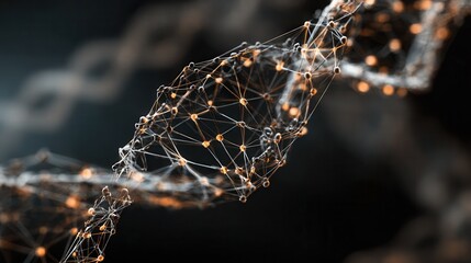 spider on web