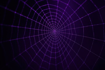 Spiderweb in the Dark: A mesmerizing spiderweb, its intricate design shimmering against a deep purple backdrop, creating an aura of intrigue and mystery.