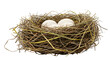 © Satya - Nest with three white eggs surrounded by dried grass, symbolizing new beginnings in nature
