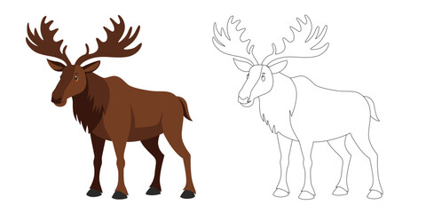 Naklejka na meble Moose cartoon animal in two styles — colorful and outline version. Vector illustration of wild moose isolated on white background. Perfect for children’s books, design, and print.