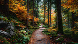 Autumn forest path with leaves on both sides, empty middle trail for text placement