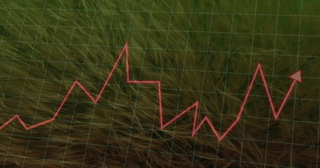 Wall Mural - Displaying red zigzag line graph with arrow fluctuating on tall dry grass with green grid overlay