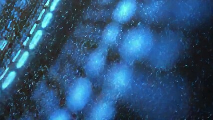 Binary code stream flowing on dark background