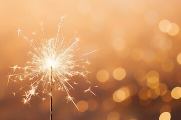 Wall Mural - new year fireworks backgrounds outdoors.