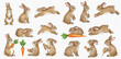© studio - A charming collection of watercolor brown rabbits in various poses, such as sitting, running, jumping, and eating carrots.