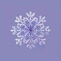 Canvas Print - snowflake blackboard outdoors nature.
